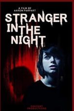 Nonton film Stranger in the Night (2019)